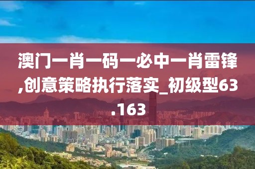 澳门一肖一码一必中一肖雷锋,创意策略执行落实_初级型63.163