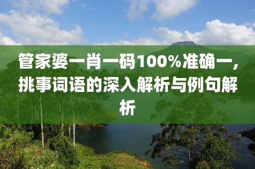 管家婆一肖一码100%准确一,挑事词语的深入解析与例句解析
