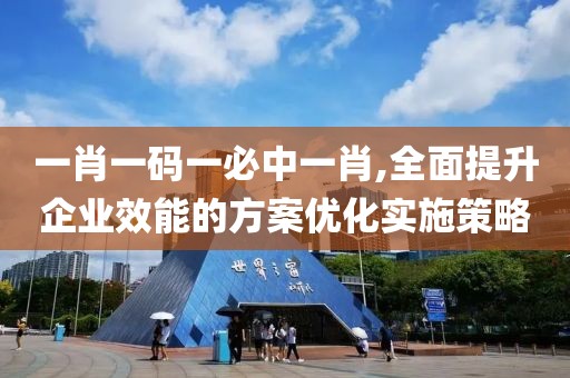 一肖一码一必中一肖,全面提升企业效能的方案优化实施策略