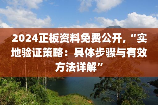 2024正板资料免费公开,“实地验证策略：具体步骤与有效方法详解”