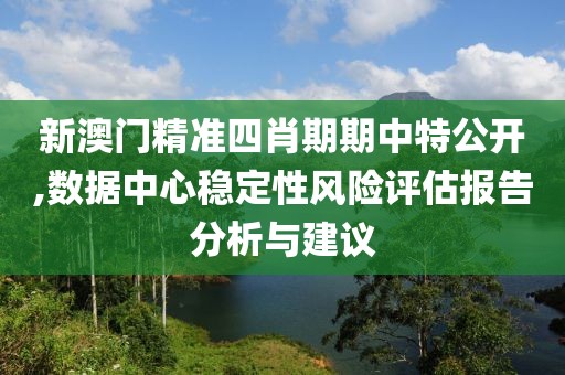 新澳门精准四肖期期中特公开,数据中心稳定性风险评估报告分析与建议