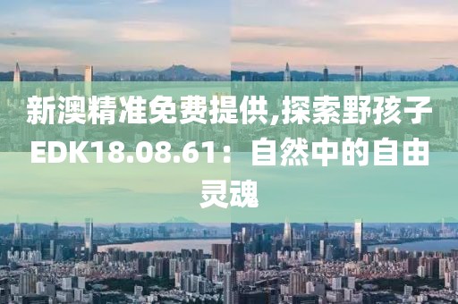 新澳精准免费提供,探索野孩子EDK18.08.61：自然中的自由灵魂