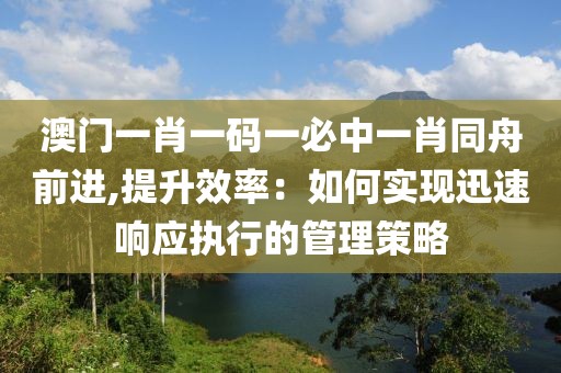 澳门一肖一码一必中一肖同舟前进,提升效率：如何实现迅速响应执行的管理策略