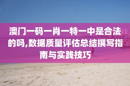 澳门一码一肖一特一中是合法的吗,数据质量评估总结撰写指南与实践技巧