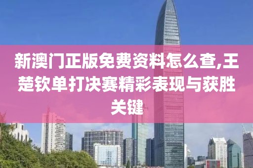 新澳门正版免费资料怎么查,王楚钦单打决赛精彩表现与获胜关键