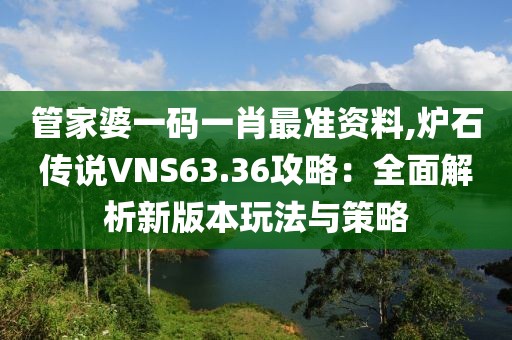 管家婆一码一肖最准资料,炉石传说VNS63.36攻略：全面解析新版本玩法与策略