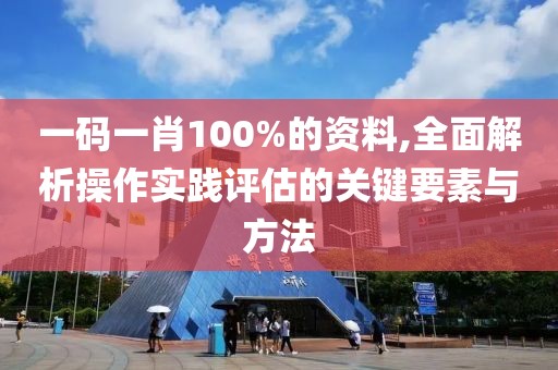 一码一肖100%的资料,全面解析操作实践评估的关键要素与方法