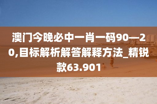 澳门今晚必中一肖一码90—20,目标解析解答解释方法_精锐款63.901