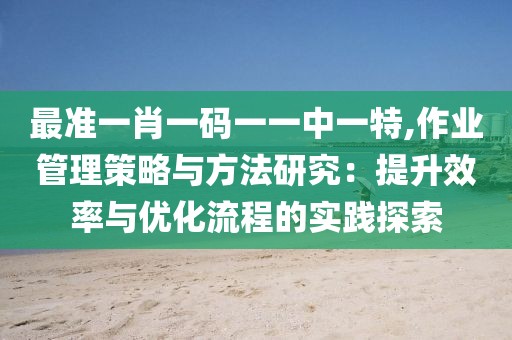 最准一肖一码一一中一特,作业管理策略与方法研究：提升效率与优化流程的实践探索