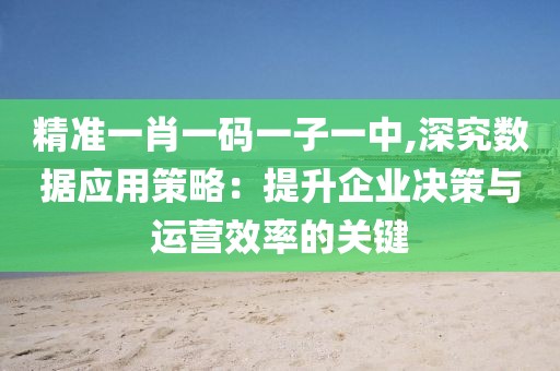 精准一肖一码一子一中,深究数据应用策略：提升企业决策与运营效率的关键