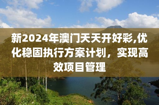 新2024年澳门天天开好彩,优化稳固执行方案计划，实现高效项目管理