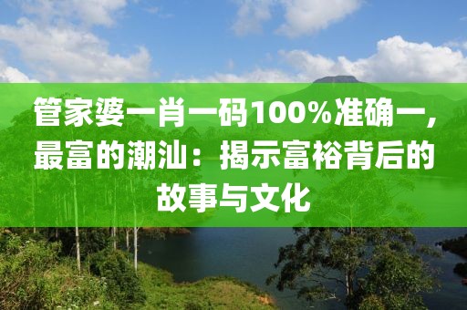 管家婆一肖一码100%准确一,最富的潮汕：揭示富裕背后的故事与文化
