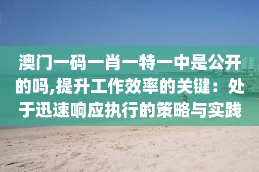 澳门一码一肖一特一中是公开的吗,提升工作效率的关键：处于迅速响应执行的策略与实践