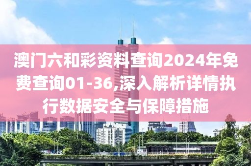 澳门六和彩资料查询2024年免费查询01-36,深入解析详情执行数据安全与保障措施