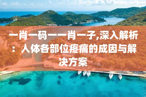 一肖一码一一肖一子,深入解析：人体各部位疼痛的成因与解决方案