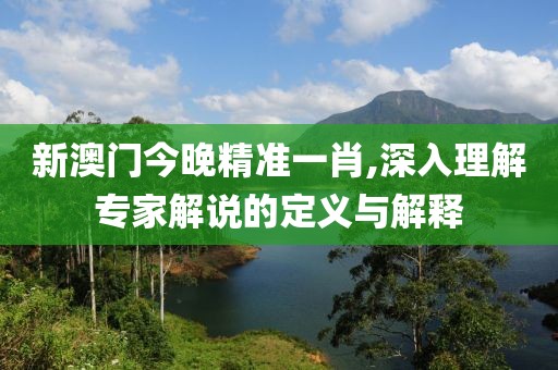 新澳门今晚精准一肖,深入理解专家解说的定义与解释