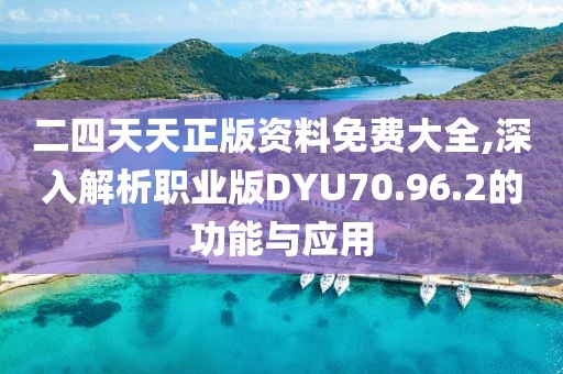 二四天天正版资料免费大全,深入解析职业版DYU70.96.2的功能与应用