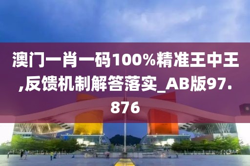 澳门一肖一码100%精准王中王,反馈机制解答落实_AB版97.876
