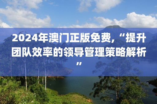 2024年澳门正版免费,“提升团队效率的领导管理策略解析”