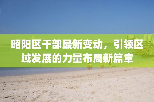 昭阳区干部最新变动，引领区域发展的力量布局新篇章
