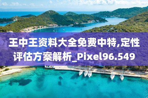 王中王资料大全免费中特,定性评估方案解析_Pixel96.549