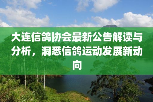 大连信鸽协会最新公告解读与分析，洞悉信鸽运动发展新动向