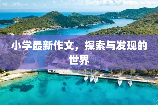 小学最新作文，探索与发现的世界