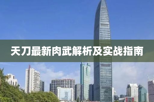 天刀最新肉武解析及实战指南