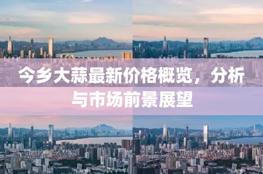 今乡大蒜最新价格概览，分析与市场前景展望