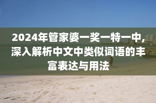 2024年管家婆一奖一特一中,深入解析中文中类似词语的丰富表达与用法