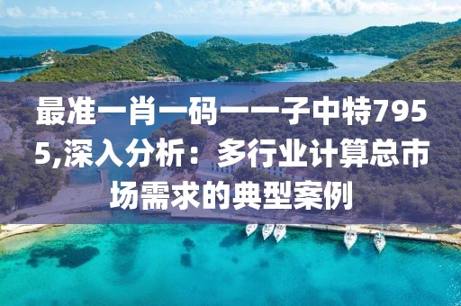 最准一肖一码一一子中特7955,深入分析：多行业计算总市场需求的典型案例