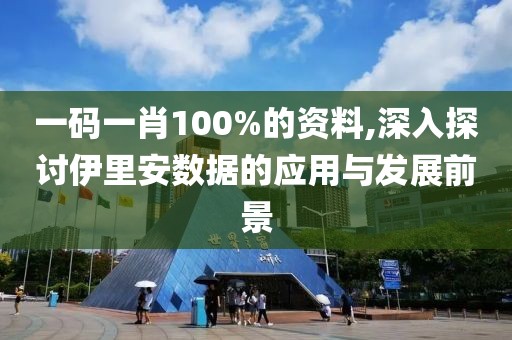 一码一肖100%的资料,深入探讨伊里安数据的应用与发展前景