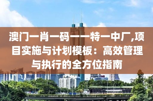 澳门一肖一码一一特一中厂,项目实施与计划模板：高效管理与执行的全方位指南