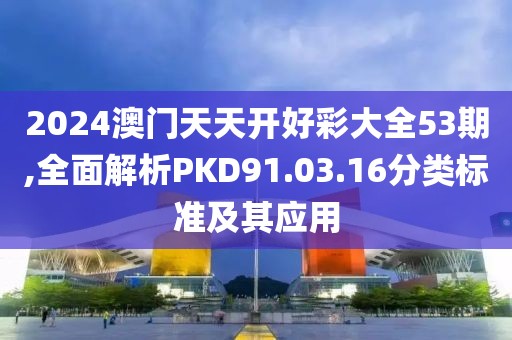 2024澳门天天开好彩大全53期,全面解析PKD91.03.16分类标准及其应用