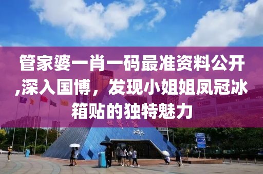 管家婆一肖一码最准资料公开,深入国博，发现小姐姐凤冠冰箱贴的独特魅力