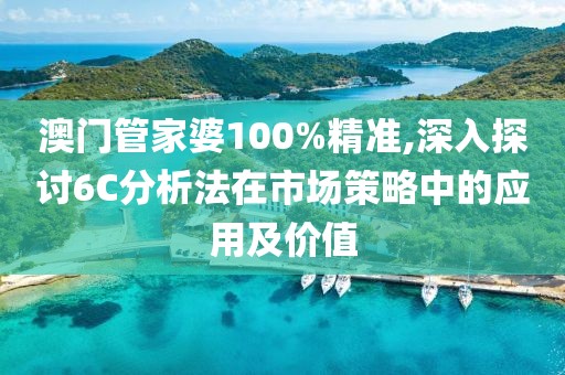 澳门管家婆100%精准,深入探讨6C分析法在市场策略中的应用及价值