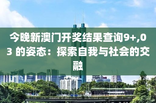 今晚新澳门开奖结果查询9+,03 的姿态：探索自我与社会的交融