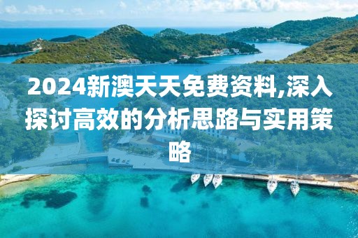 2024新澳天天免费资料,深入探讨高效的分析思路与实用策略