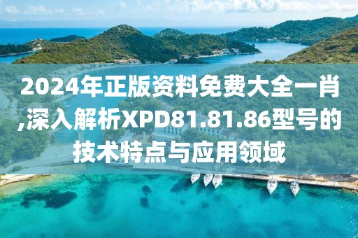 2024年正版资料免费大全一肖,深入解析XPD81.81.86型号的技术特点与应用领域