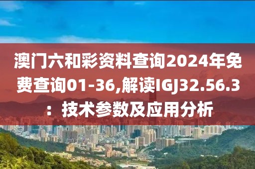 澳门六和彩资料查询2024年免费查询01-36,解读IGJ32.56.3：技术参数及应用分析