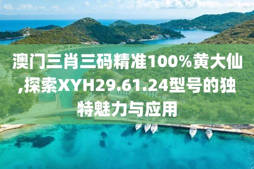 澳门三肖三码精准100%黄大仙,探索XYH29.61.24型号的独特魅力与应用