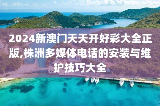2024新澳门天天开好彩大全正版,株洲多媒体电话的安装与维护技巧大全