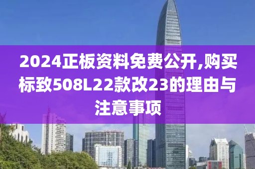 2024正板资料免费公开,购买标致508L22款改23的理由与注意事项
