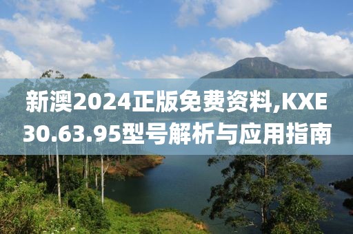 新澳2024正版免费资料,KXE30.63.95型号解析与应用指南