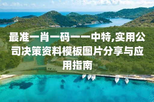 最准一肖一码一一中特,实用公司决策资料模板图片分享与应用指南