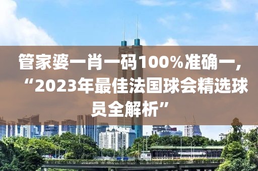 管家婆一肖一码100%准确一,“2023年最佳法国球会精选球员全解析”