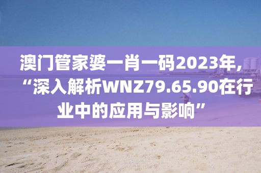 澳门管家婆一肖一码2023年,“深入解析WNZ79.65.90在行业中的应用与影响”