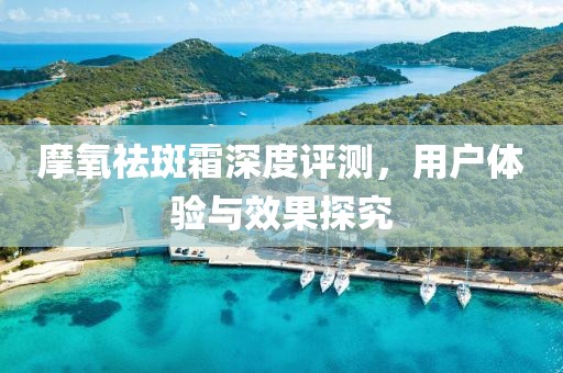 野心与梦想 第72页