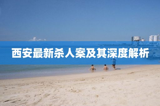 2024年11月 第656页