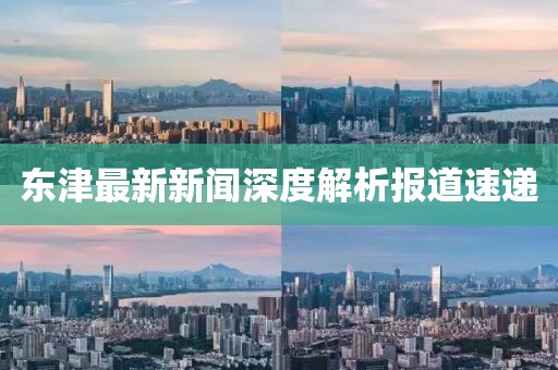 东津最新新闻深度解析报道速递